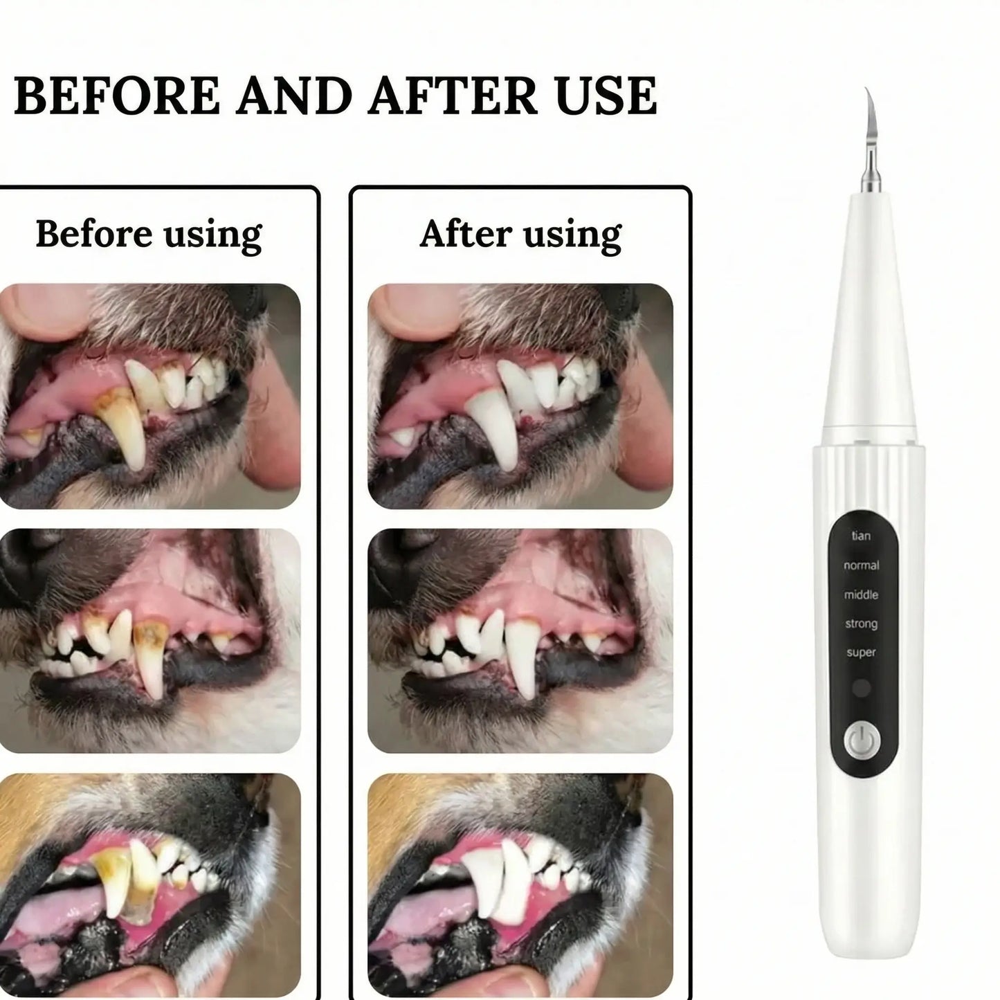 Dog Plaque Remover