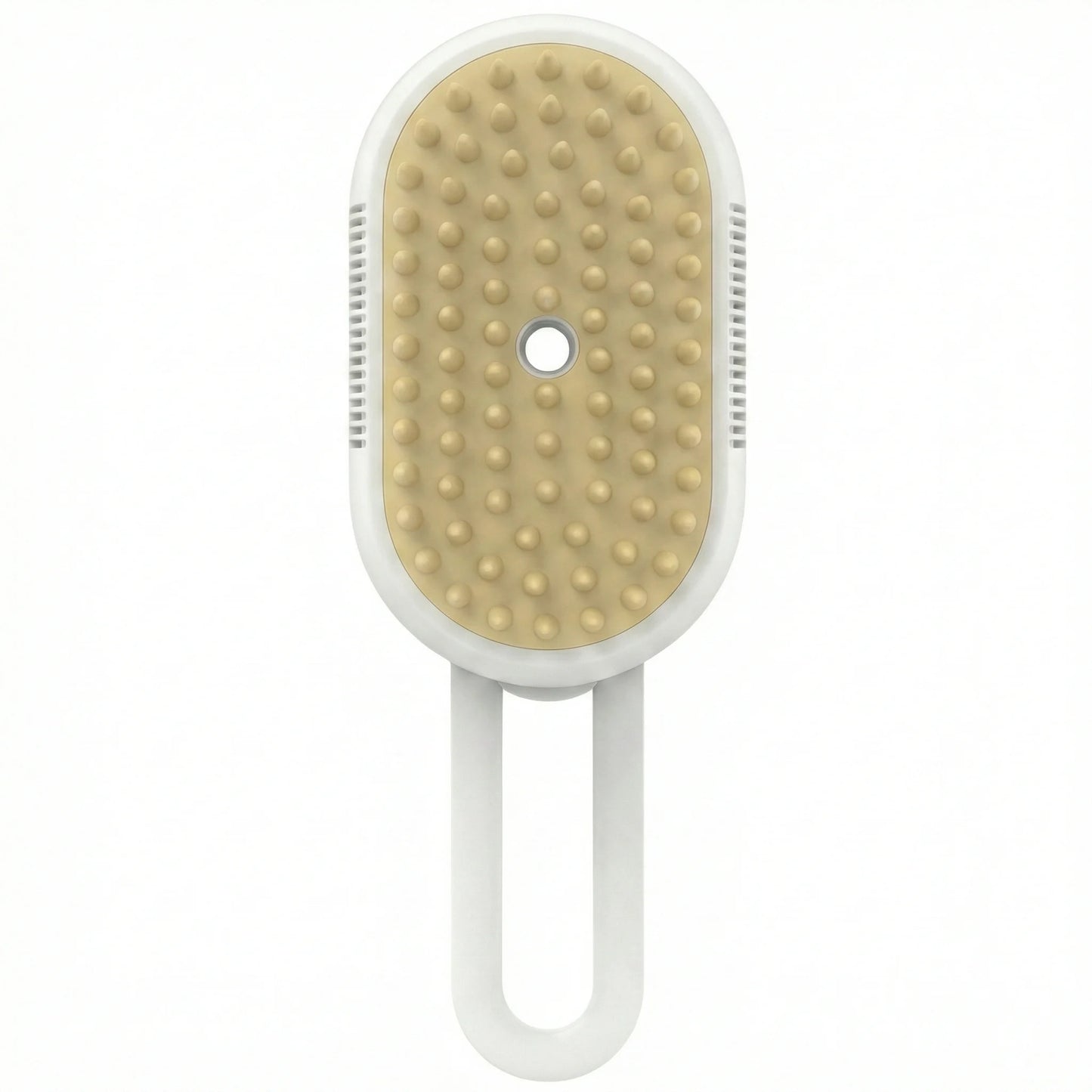 Steam brush