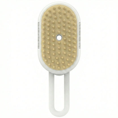 Steam brush
